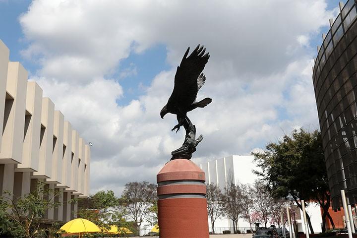 Golden Eagle statue in center of Cal State LA campus